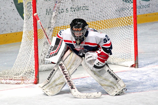 力拼搏的动 力拼搏的动